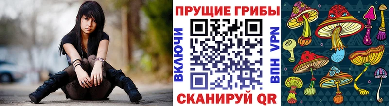 KRAKEN зеркало  Лермонтов  Галлюциногенные грибы Magic Shrooms 